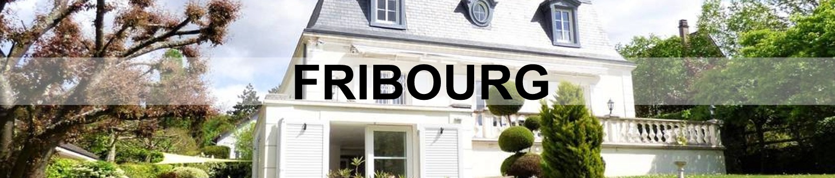 prix immobilier luxe prestige fribourg prix immobilier luxe prestige fribourg